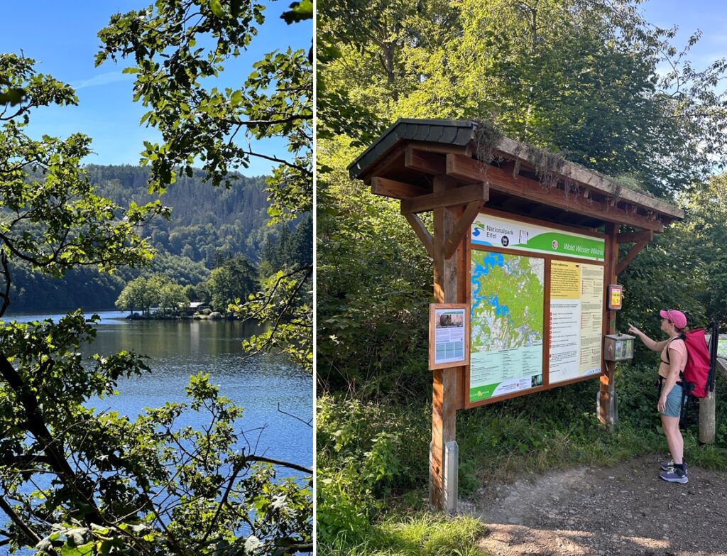 Senderista leyendo el mapa de senderos en la entrada del Parque Nacional del Eifel, Alemania