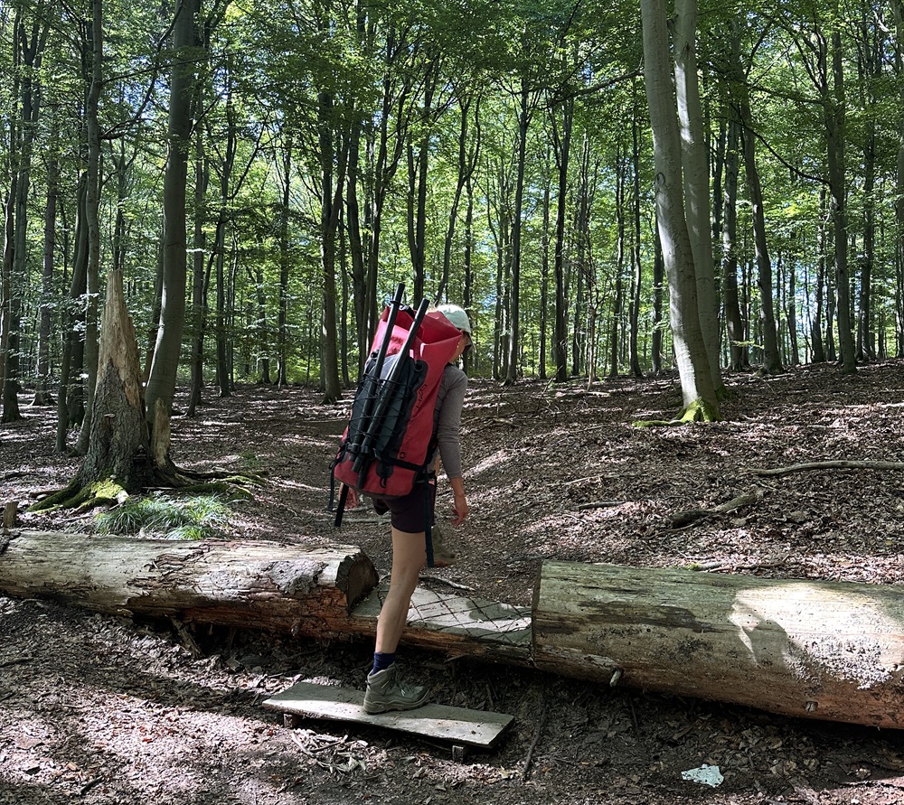 Senderista llevando una mochila de packraft por el bosque en el Eifel