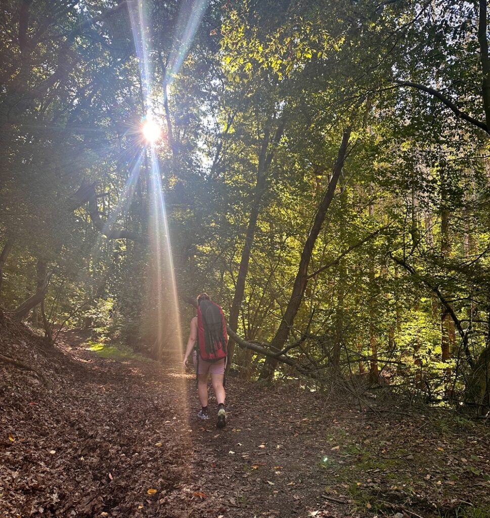Sendero a través del bosque durante una aventura de packrafting en Alemania